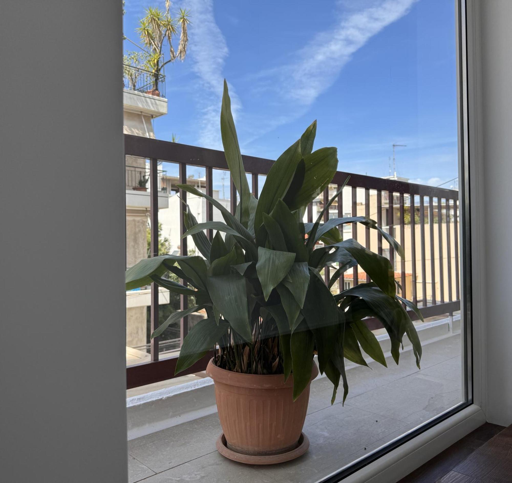 Navaro Apartment